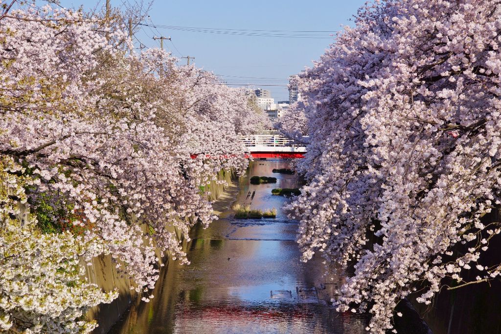 氷川台駅イメージ